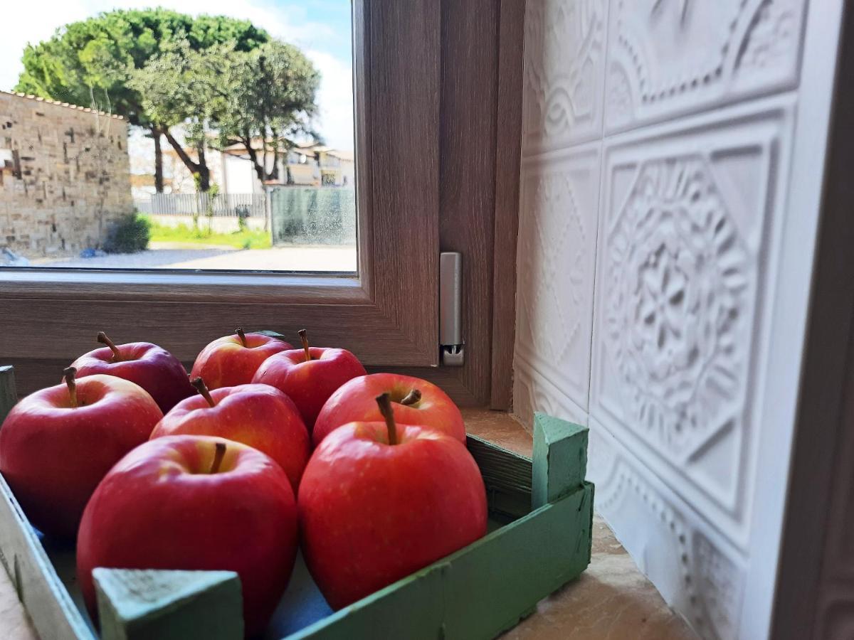 Villa Da Ilaria Piano Terra Di Con Piscina E Parcheggio